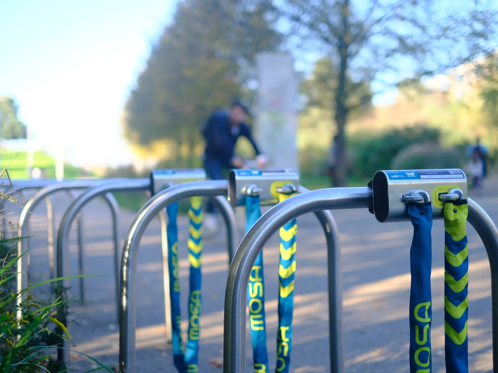 A row of Mosa docks on steel hoop racks beside a park path.